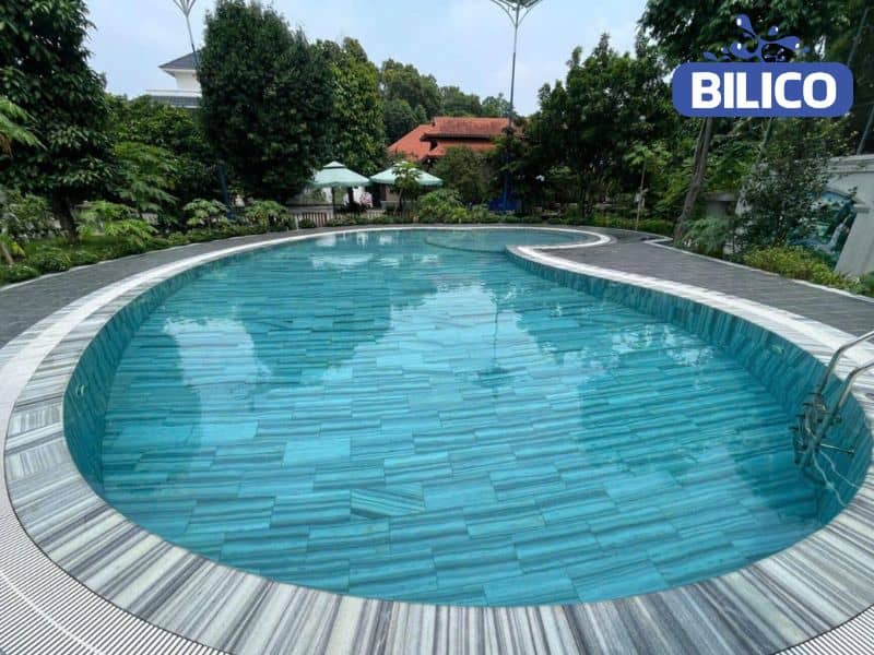 xử lý nước hồ bơi bị rêu 