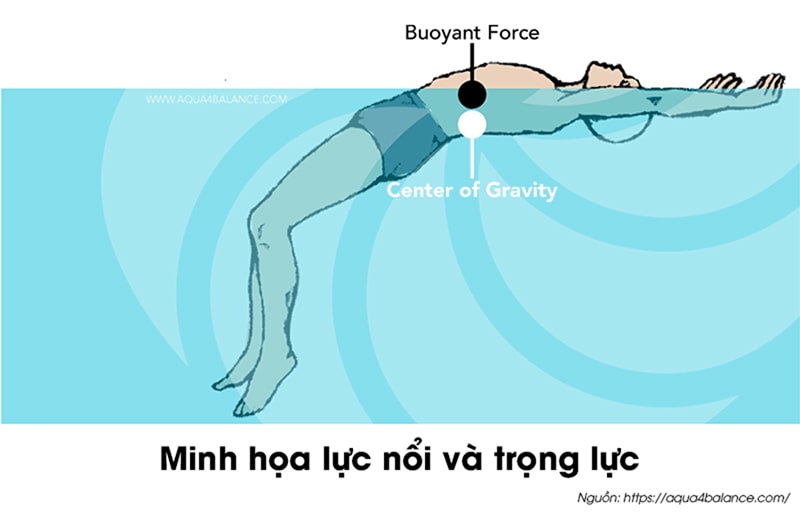 Hình ảnh minh họa lực nổi và trọng lực của cơ thể