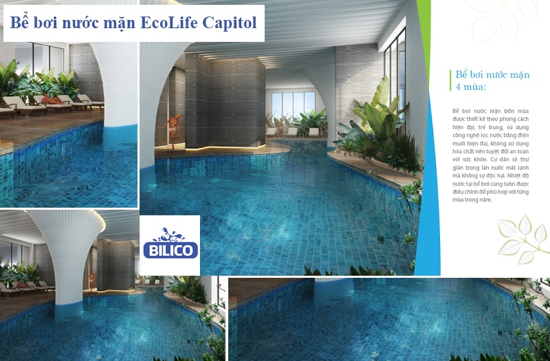Bể bơi 4 mùa EcoLife Capitol