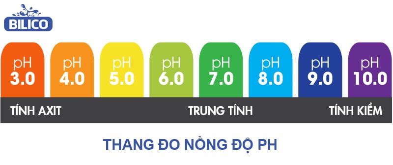 Thang đo nồng độ pH trong nước bể bơi - Bilico