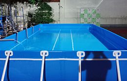 bể bơi bạt kích thước 9.6 x 24.6 (m)