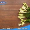 Sàn gỗ Binyl Narrow – 12mm BN8459 - 2