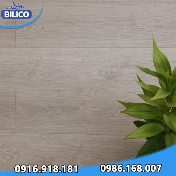 Sàn gỗ Fortune 8mm Aqua 801 - 2 Sàn gỗ Fortune 8mm Aqua 801 - 2