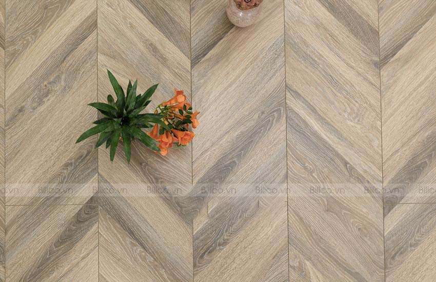 ứng dụng Sàn gỗ công nghiệp Wilplus Fish Bone 3D XC63