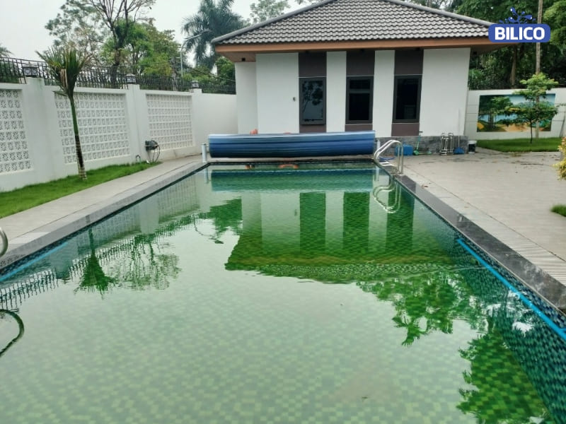 nước trong bể xuất hiện nhiều cặn bẩn, rêu
