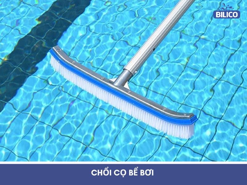 Chổi cọ bể bơi