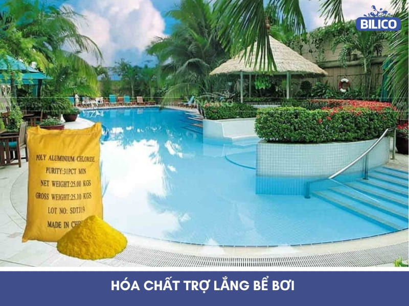 Hóa chất trợ lắng bể bơi