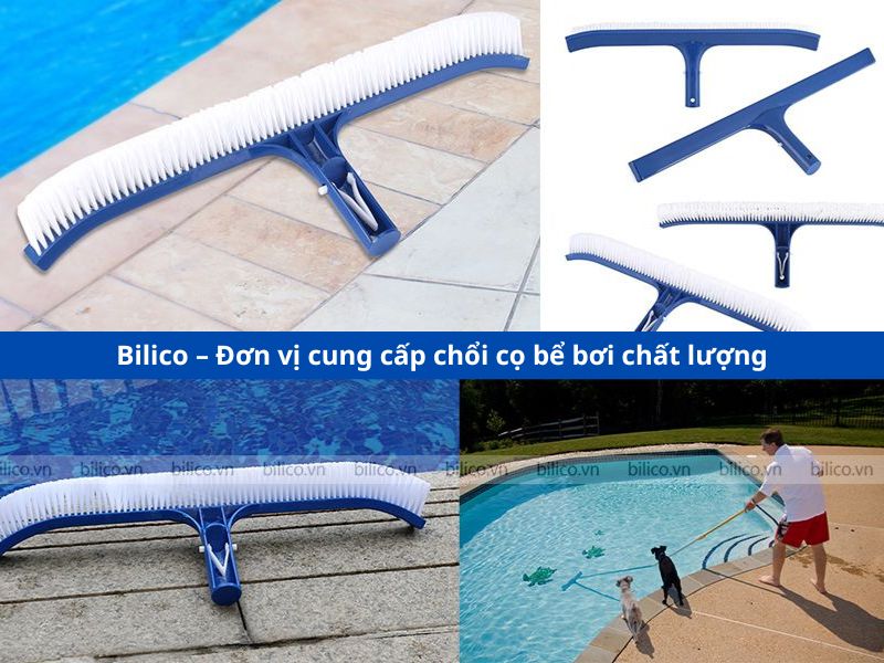 Chổi cọ hồ bơi