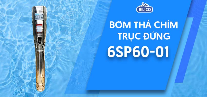 Bơm thả chìm trục đứng 6SP60-01