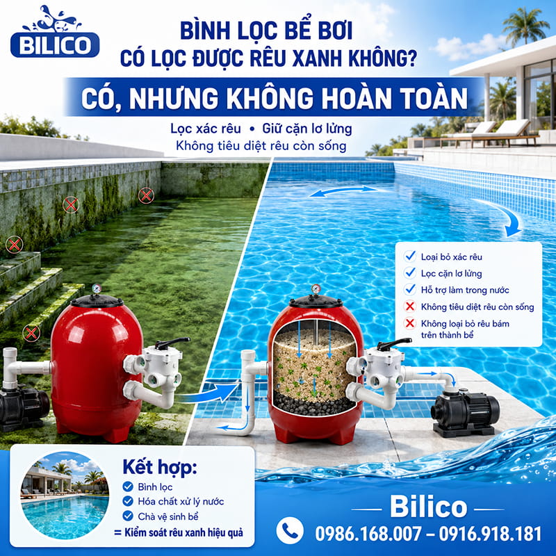 Bình lọc bể bơi có lọc được rêu xanh không?