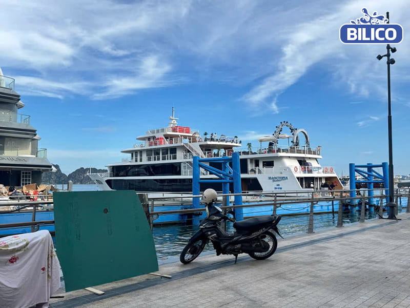 Bilico thi công bể bơi trên du thuyền anh Đoàn tại Hạ Long