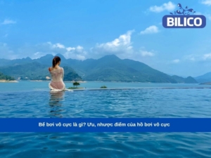 bể bơi vô cực là gì