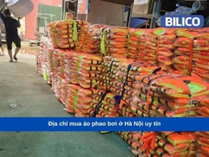 mua áo phao bơi ở Hà Nội